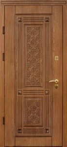 Дверь с виноритом DZ586